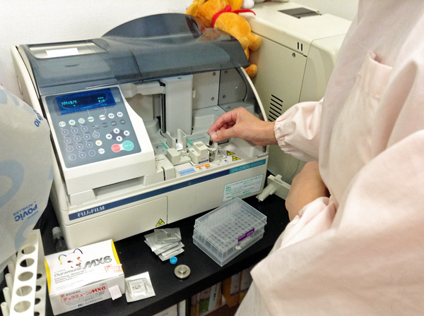 動物看護師の業務