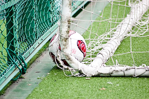 動物看護師はゴールキーパー