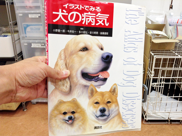 イラストでみる犬の病気